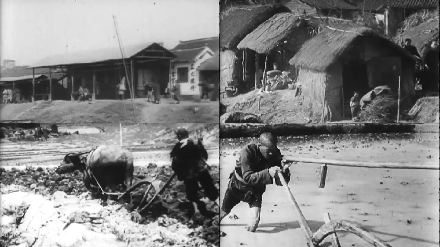 中国50年代农村景象的图片